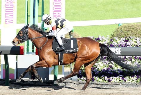 【一口馬主日記】tcライオン特別編！ カズキ一口馬主