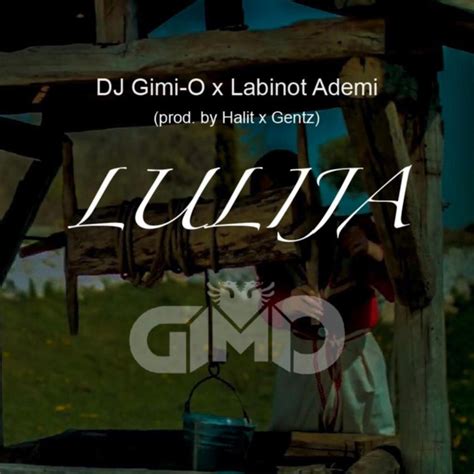 Lulija Single By DJ Gimi O Spotify