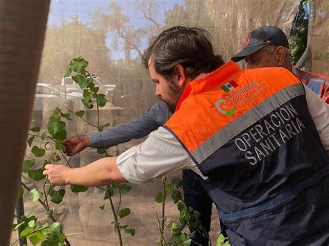 Salud Sonora On Twitter RT COESPRISSON Cofepris Protege Y Preserva