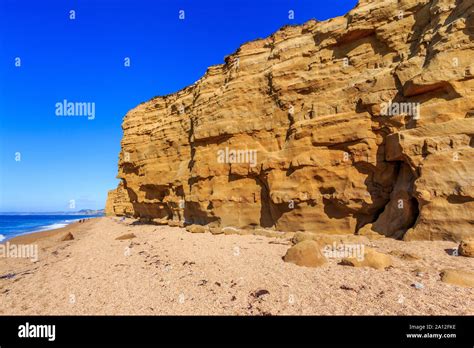 Hive Beach Near West Bay Coast Resort Jurassic Coast Crumbling Sandstone Cliffs Unesco Site