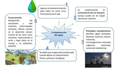 Cuadro Sinoptico Sobre La Contaminacion Del Agua Un Cuadro Sinoptico