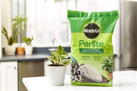 Buy Miracle Gro Perlite 8 Qt Online At Lowest Price In India B087H47V1V