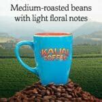 5 Best Hawaiian Coffee Brands 2024 Must-Know's Before Buying