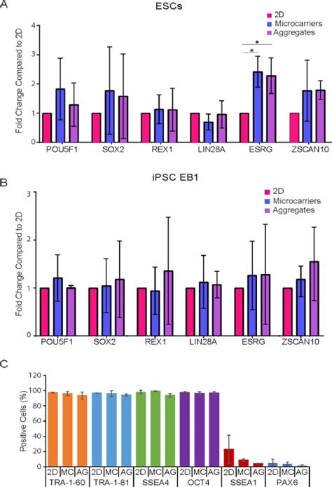 Suspension Culture On Microcarriers And As Aggregates Enables Expansion