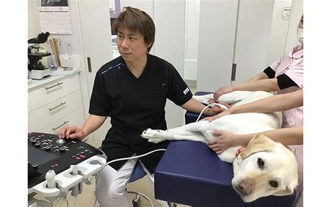 松田アニマルクリニック｜犬・猫の健康診断を推進｜teamhope 動物病院リレー紹介