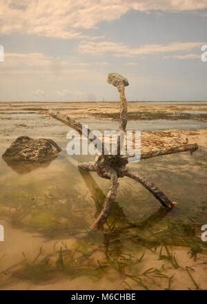 Antiguo Ancla En Agua De Mar Con Algas Agua Y Barco Detr S Paisajes