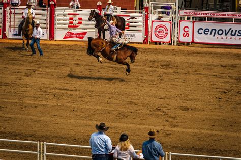 Calgary Stampede 2023 - Exploring Ed