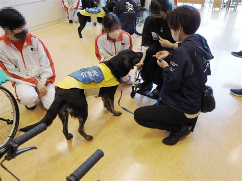 【社会福祉法人 日本介助犬協会】4年ぶりの対面での開催！介助犬フェスタ2023 寄付で拡げる犬猫の未来ー確かな団体選定のアニドネ