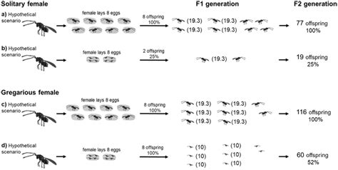 The Different Fertilities Obtained In The F2 Generation For Solitary Download Scientific