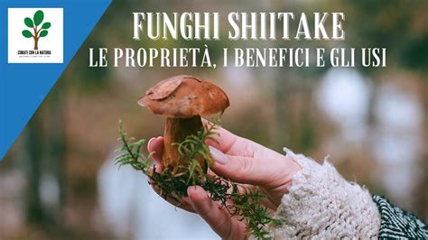 Funghi Shiitake Le Propriet I Benefici E Gli Usi Youtube