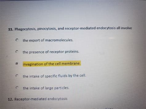 Answered 11 Phagocytosis Pinocytosis And Bartleby