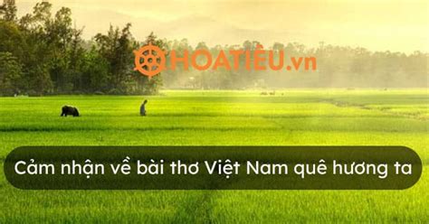 Top 8 bài thơ về cảnh đẹp quê hương mới nhất năm 2022 Kiến Thức Cho