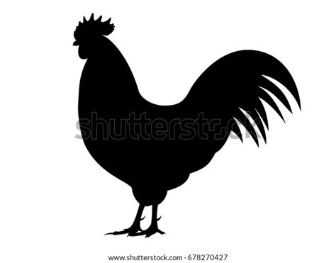 Stock Vektor Vector Illustration Black Cock Silhouette Isolated Bez