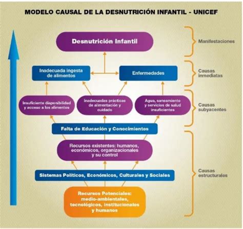 Crecimiento Y Desarrollo Prevalencia De Desnutrici N En Menores De