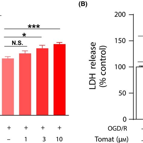 Tomatidine Tomat Protects SHSY5Y Cells Against Ischemic Injury