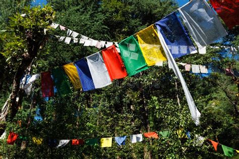 Buddhist Prayer Flags Lunga In Mcleod Ganj Himachal Pradesh India