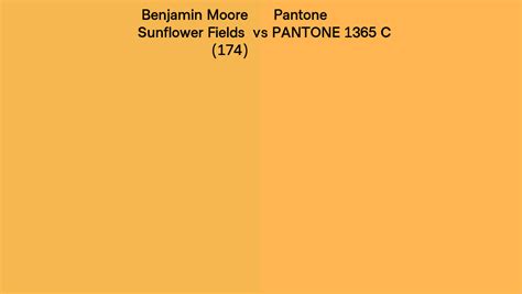 Benjamin Moore Sunflower Fields Vs Pantone C Side By Side