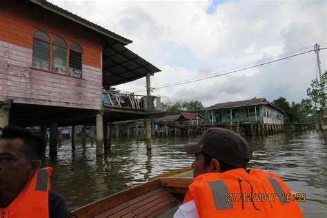 Tripadvisor Brunei Proboscis Monkey River Safari Met Exclusive Water