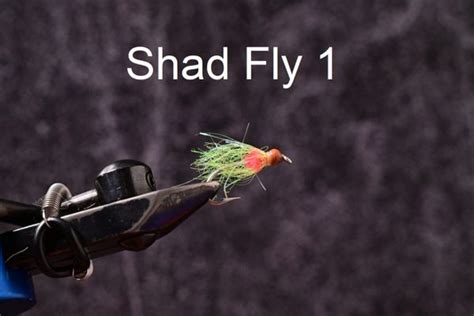 Shad Flies Saltwater Custom Flies