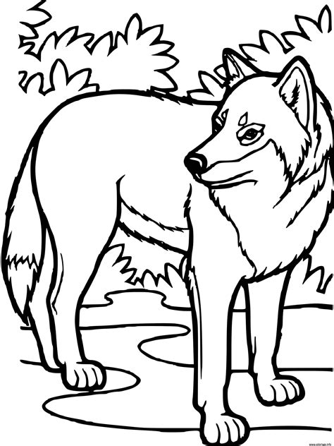 Coloriage Loup Dans La Nature Dessin Loup Imprimer