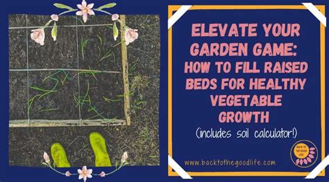 How To Fill Raised Beds The Easy Way To Grow Nutritious Vegetables