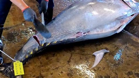 Amazing Super Cutting Skill Of Giant Bluefin Tuna Youtube