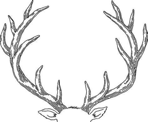 Antler Illustrations Royalty Free Vector Graphics And Clip Art Istock