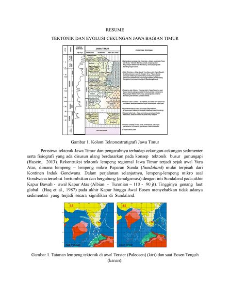 Tektonik DAN Evolusi Cekungan JAWA Bagian Timur RESUME TEKTONIK DAN