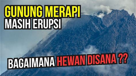 Kubah Lava Gunung Merapi Masih Terus Terjadi Guguran Live Merapi