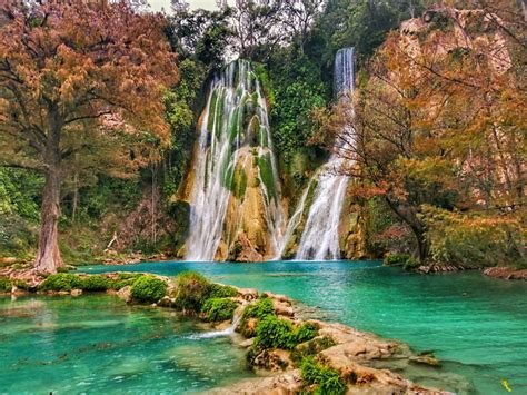 Paradoja Finalizando Jirafa Cascada Minas Viejas Huasteca Potosina