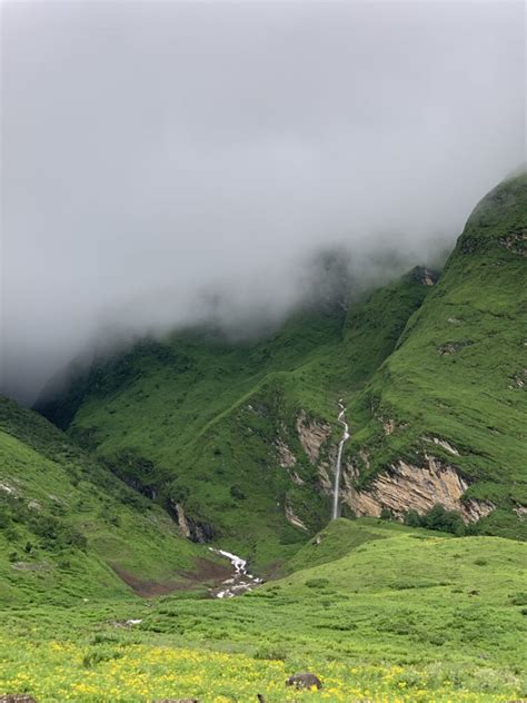 Trekking In Himalayas Visit Kailash Treks