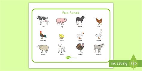 Farm Animal Word Mat Teacher Made