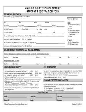 Fillable Online STUDENT REGISTRATION FORM Calhoun County School