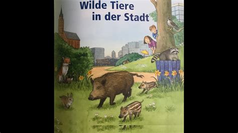 Noyan Liest Wilde Tiere In Der Stadt Youtube