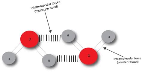 What’s A Chemical Bond And What’re Intermolecular And Intramolecular Forces