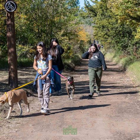 D Nde Ver Anime Hentai Sin Censura Master News