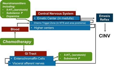 Why Does Cinv Still Occur Insights From The Perspectives Of 3 Experts