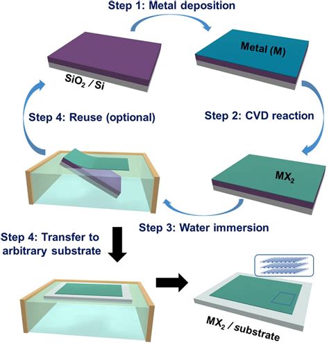 Schematic To Illustrate The Water Assisted Green Integration Of