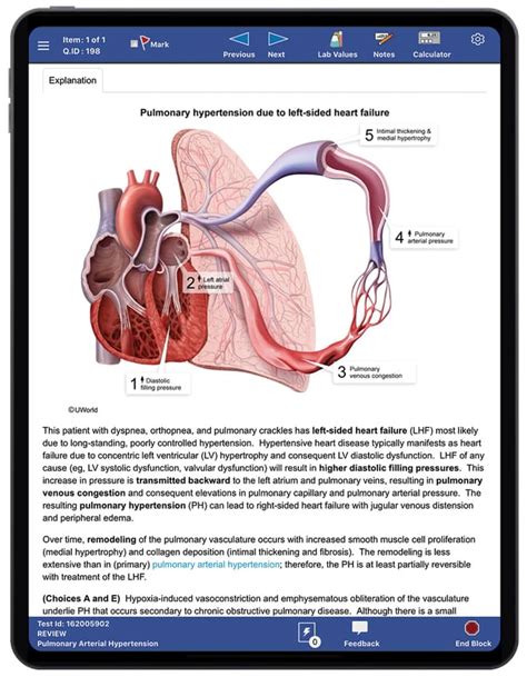 Usmle Step 1 Practice Questions And Test Medical