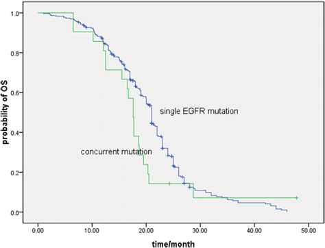 Comparison Of Overall Survival With Egfr Tki Treatment Between Single Download Scientific