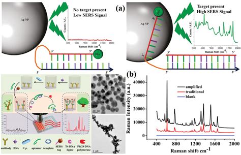 Bacteria Detection From Powerful SERS To Its Advanced Compatible