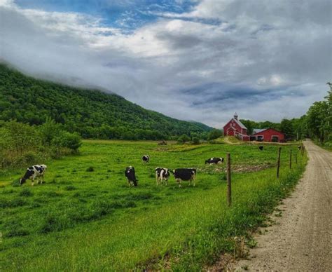7 Beautiful Farms In Vermont Where You Can Experience Country Life At ... 