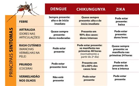 Como Se Proteger Da Dengue