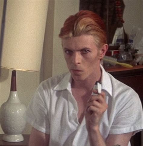 David Bowie | Дэвид боуи, Боуи, Музыканты
