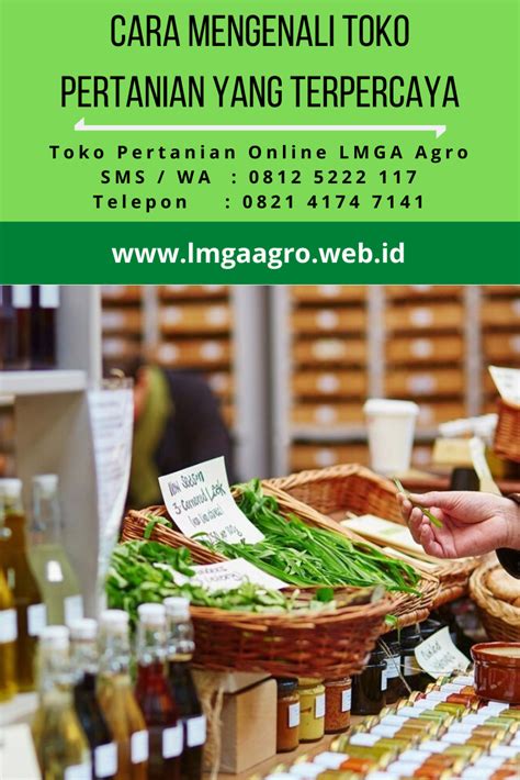 Cara Mengenali Toko Pertanian Yang Terpercaya Petani Benih Tahu