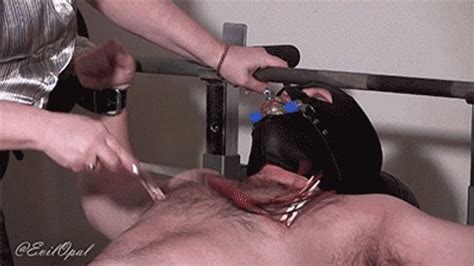 Bbw Ballbusting Porn Tube Video Clips Clips Sale