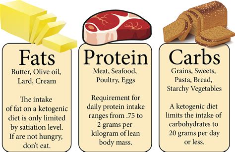 Carbs Vs Protein Vs Fat Venn Diagram Mixing Protein And Carb