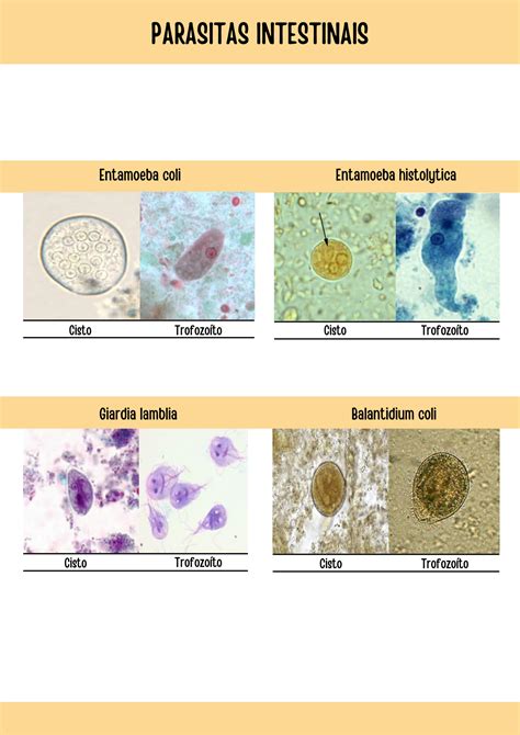 Solution Atlas Parasitologia Studypool