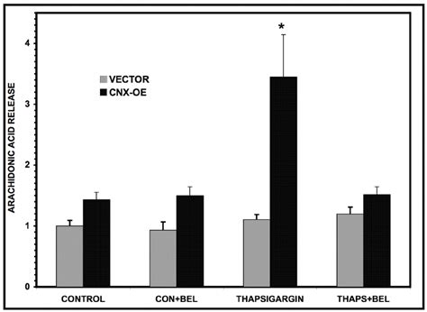 Effects of Calnexin Overexpression on ER Stress-induced Release of [ 3 ... 