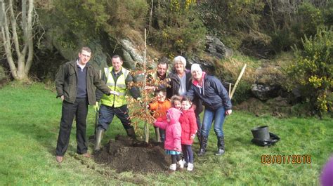 Tree Planting in Letterkenny’s Cathedral Quarter | Early Learning